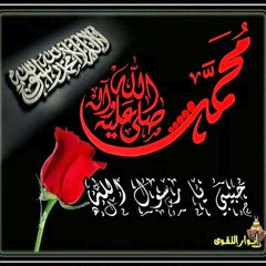 user546027214