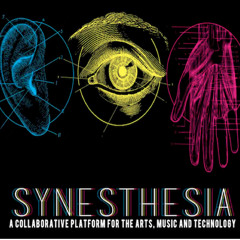 We Are Synesthesia