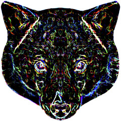 ZEUSKISS present AVIDHEAD