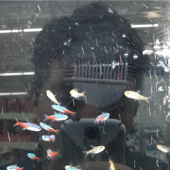 scuba1