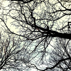 theonewhomadethedevilcry