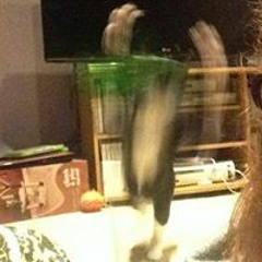 Philip Tvp Penlington