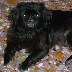 Diamantina Amaterazu