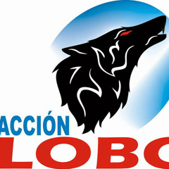 Lobo Partido LOBO)