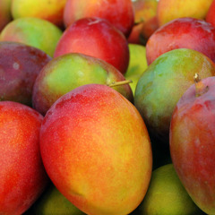 mangoes