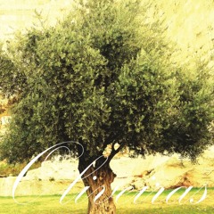 Mais um Daqueles - DILIGÊNCIA prod Skinny