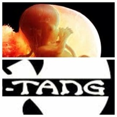 WOMB TANG