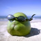 Rolling Coconut