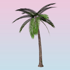 trop_kahuna