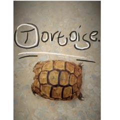 Ⓣortoise.