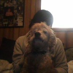 Christine Daily Bedford