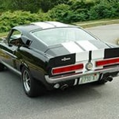 Mustang
