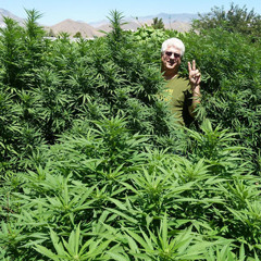 4i3ld Of Flower2