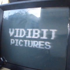 Vidibit Pictures