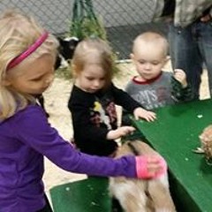 Holly Kimberley Schulz