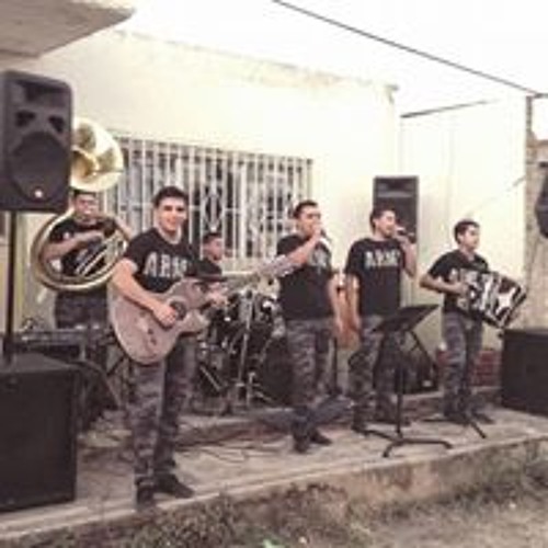 Los Cuervos Norteño Banda’s avatar