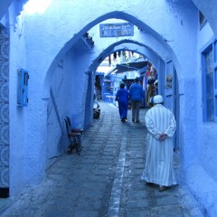 100 Days in Indigofera