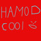 Hamody Cool