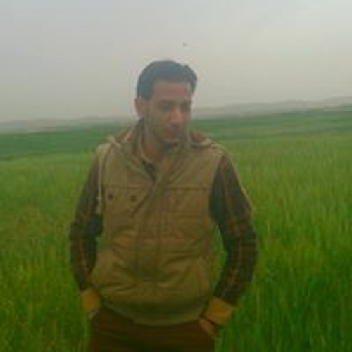 Waled Abu Yazn’s avatar