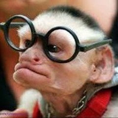 Opoy Crisostomo Meer