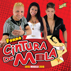 Cintura De Mola - Amor Da Sua Vida l 2015 MODELO 2016