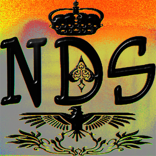 NDS’s avatar