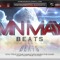 DAMNMAYNEBEATS.NET