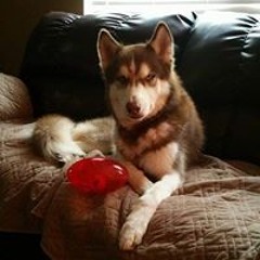 Illissa Danielle Albina