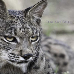 Tha Kat Falu