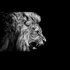 Christopher .O Madonna