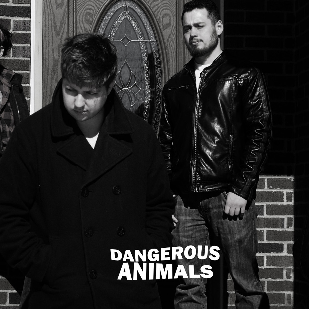 Stream Dangerous Animals music | Listen to songs, albums