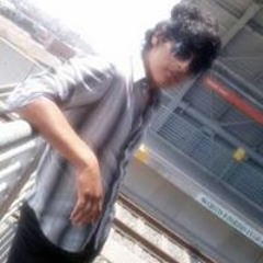 Elvis Luis Mamani Damian