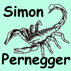 Simon Pernegger