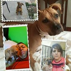 Alberto Sanchez Pino