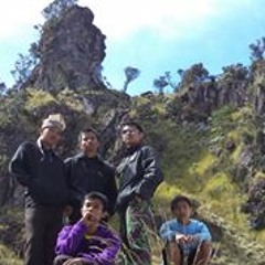 Muhammad Halim Winarso