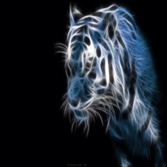 RegularTiger