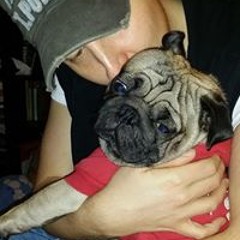 Jean Francois Franconnet