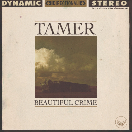 Stream TAMER music | Listen to songs, albums, playlists for free ...