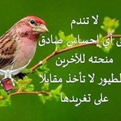 user746625835