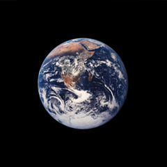 Big Gucci Worm(big worm)