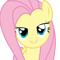 flutterboom