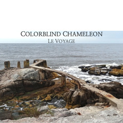 Colorblind Chameleon