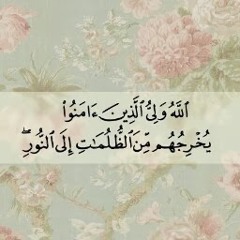 ola hamid