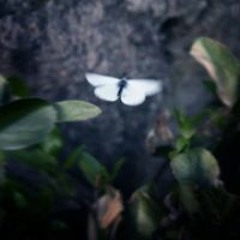 user932324159