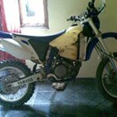 Nichad Ayoob