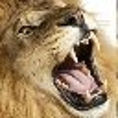 Francesco Guagliardo