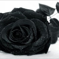 jefferson gomez rincon