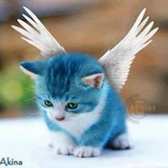 Ronald Austin Languju