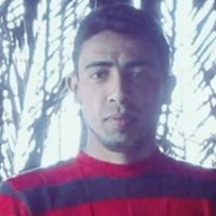 Mahmoud Fawzi Abu Zayed