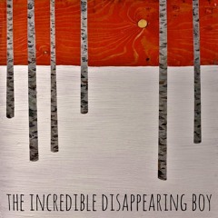 IncredibleDisappearingBoy